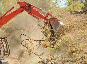 Landscaping services with Backhoe in Jackson,Ms