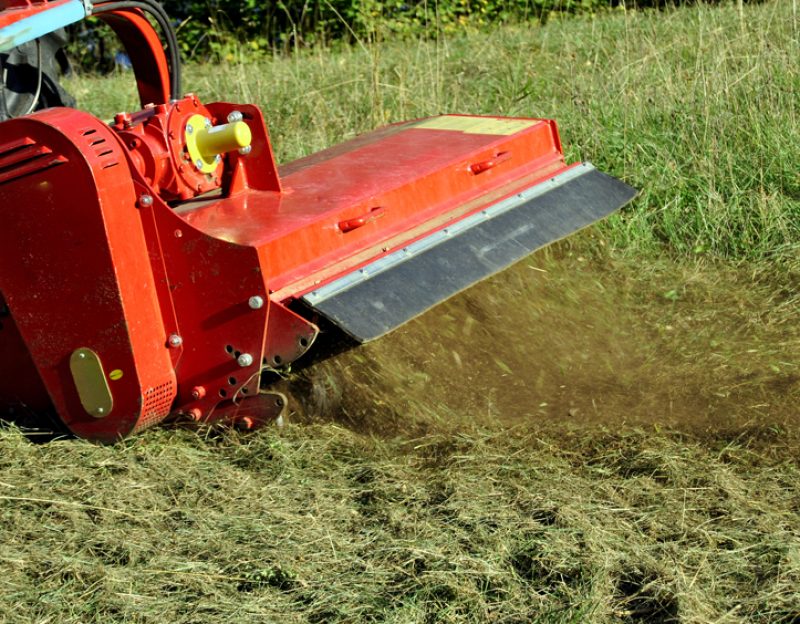 Bush Hogging services on Jackson MS land